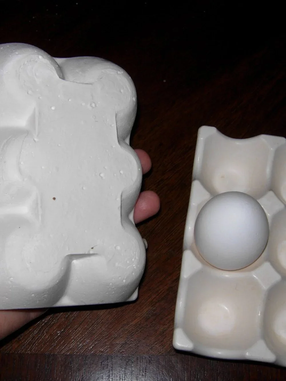 2 Egg Holders - Dozen